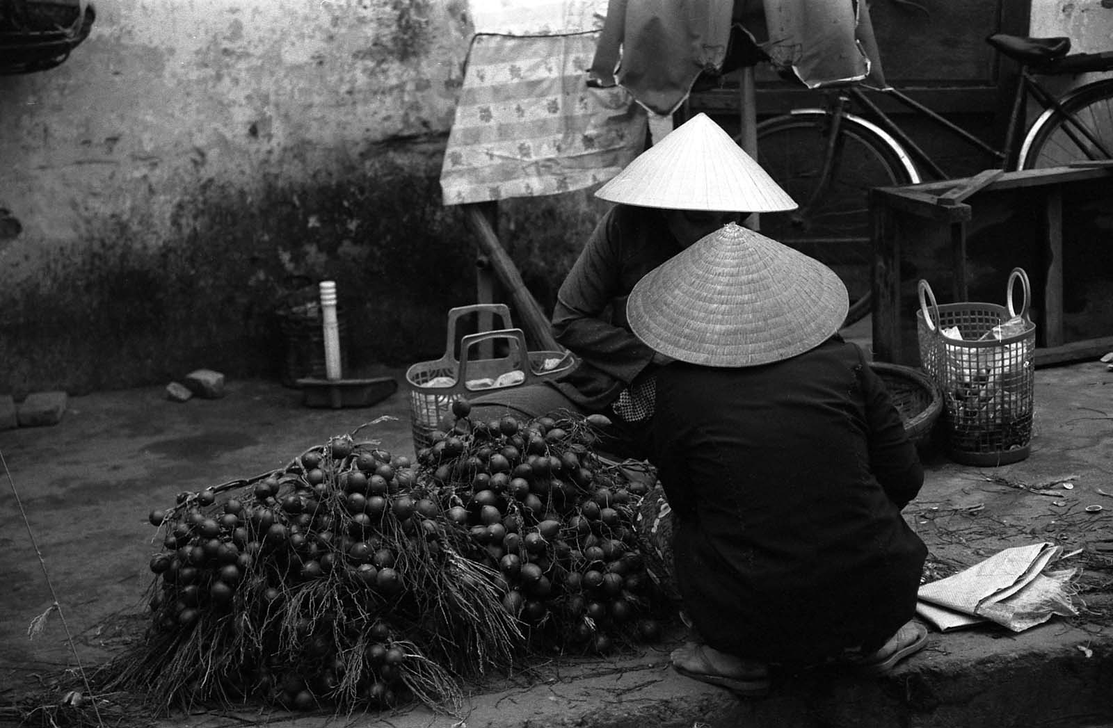 Vietnam, Hoi An, Fruits vendors
